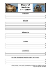 Nördlicher-See-Elefant-Steckbriefvorlage.pdf